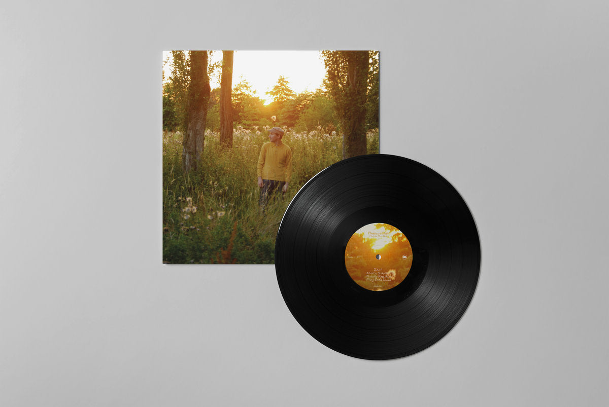 Matthew Halsall - Fletcher Moss Park