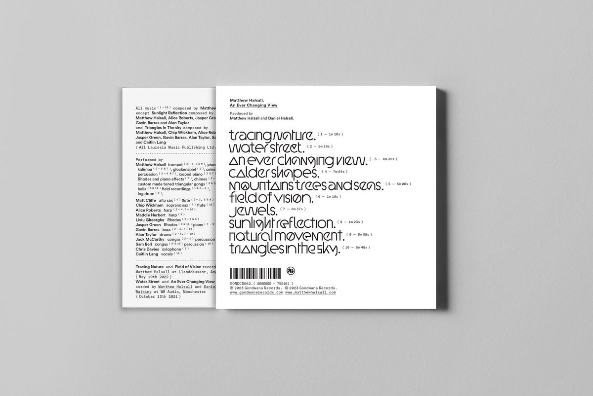 Matthew Halsall  - An Ever Changing View