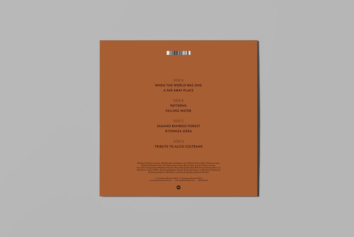 Matthew Halsall & The Gondwana Orchestra - When the World Was One