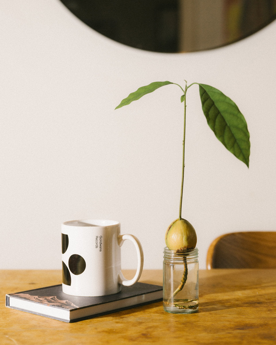 Gondwana Classic Mug