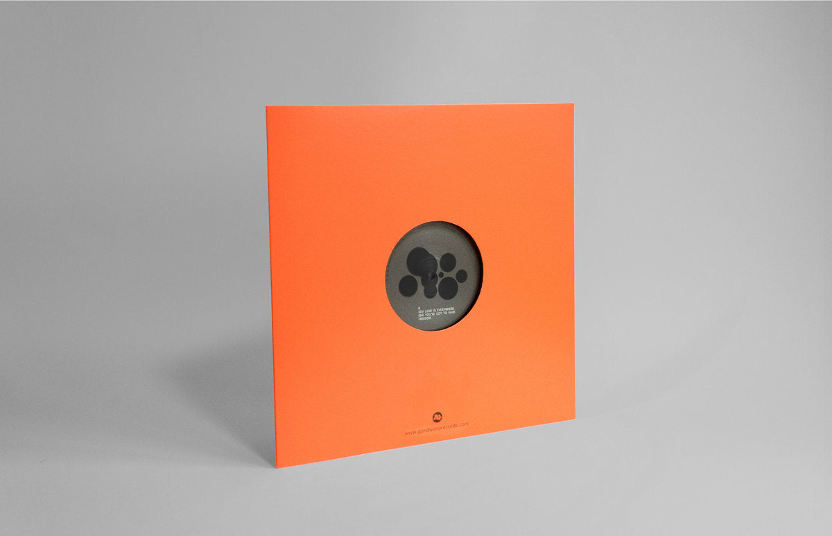 The Gondwana Orchestra (feat. Dwight Trible) - Colors